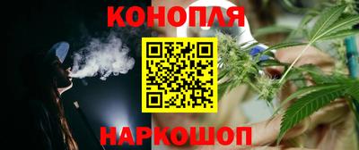 гашик Новокубанск