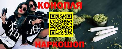 гашик Новокубанск