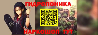 герыч Новодвинск