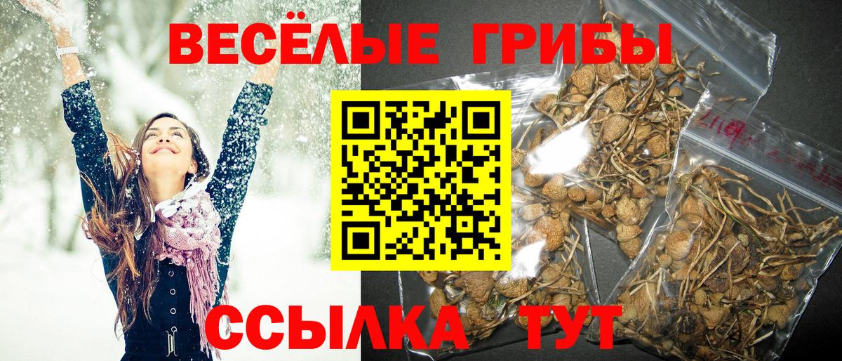 Галлюциногенные грибы Magic Shrooms  Вход с VPN  Славянск-на-Кубани 