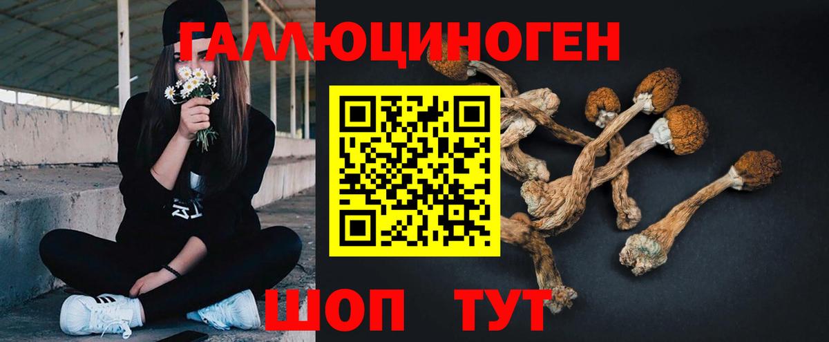 Галлюциногенные грибы GOLDEN TEACHER Славянск-на-Кубани